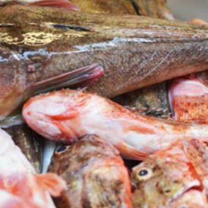 Pescado grueso para sopa o caldero: arañas, ratas, gallinetas, serranos