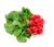 Red radishes – 125 gram bag